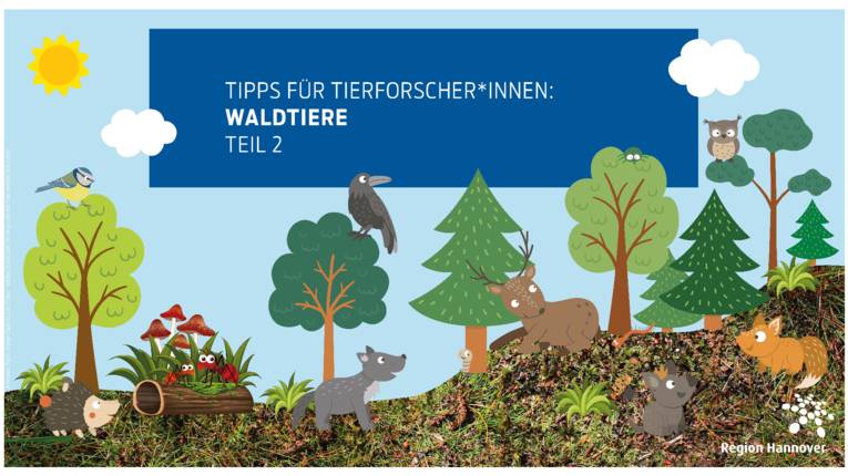 gezeichnetes Bild mit Ameisen, Igel, Reh, Eule, Meise, Rabe, Fuchs und anderen Tieren im Wald